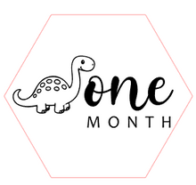 Load image into Gallery viewer, Baby Milestone Wood Discs/Markers/ Baby Shower/ Milestone Marker/ Baby Shower Gifts