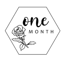 Load image into Gallery viewer, Baby Milestone Wood Discs/Markers/ Baby Shower/ Milestone Marker/ Baby Shower Gifts